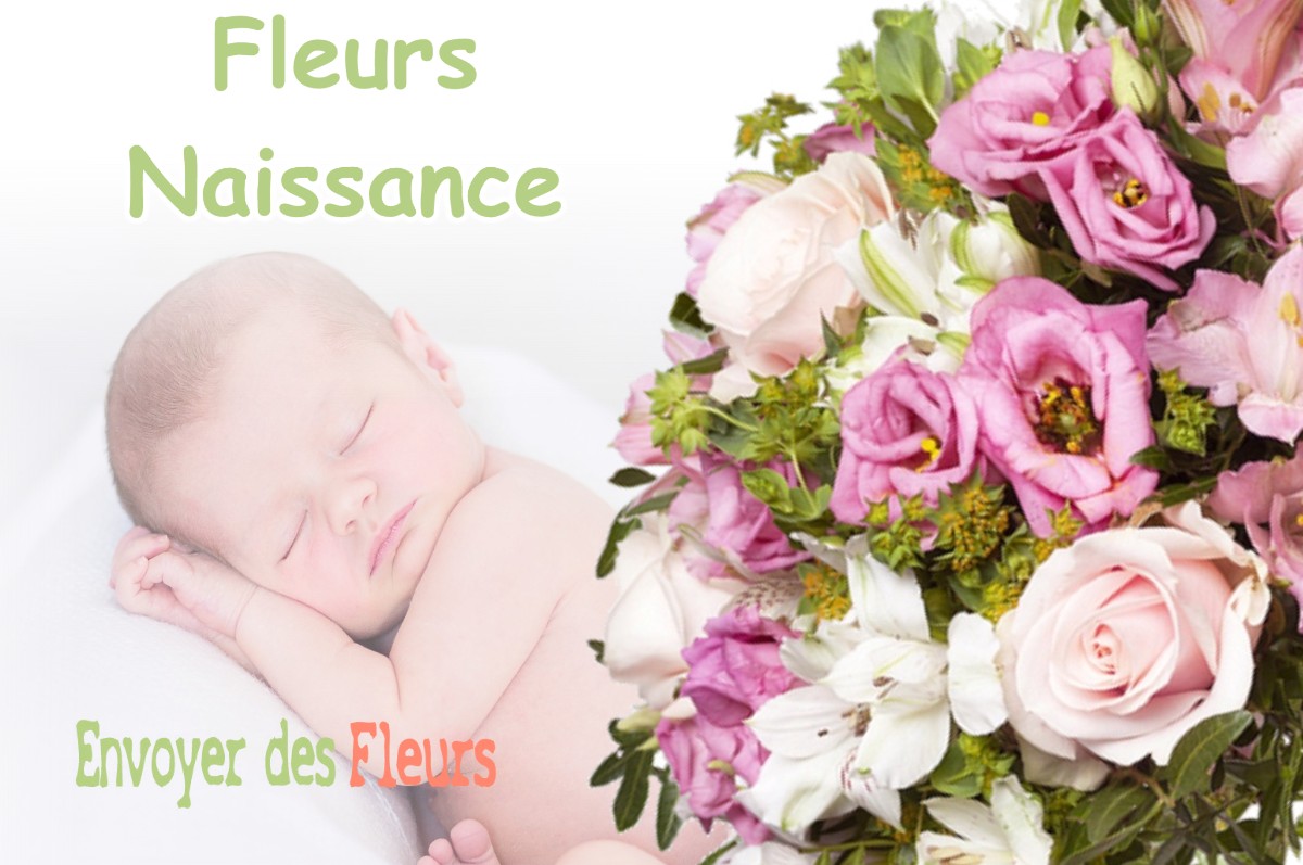 lIVRAISON FLEURS NAISSANCE à VARENNES-EN-ARGONNE